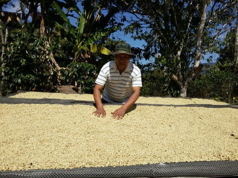 86+ Find: Bernardino Aliaga (Bolivia) Microlot Roast. NEW FARMER!