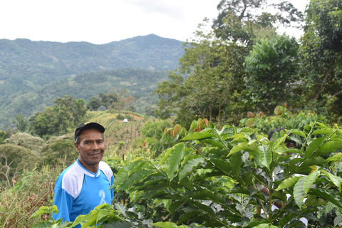 86+ Find: Porfirio Mamani (Bolivia) Microlot. NEW ARRIVAL!