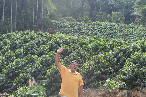 86+ Find: Juan Jose Machicado (Bolivia) Microlot. NEW FARMER!