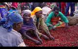 90+ Find: Kinyovu Washing Station (Burundi) Matango Microlot. COFFEE REVIEW: 92 POINTS!!