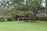 86+ Find: Fazenda Barreiro (Brazil) Microlot. NEW!