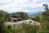 86+ Find: Marco Lasso (Colombia) Nariño Microlot Roast.