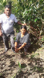 86+ Find: Humberto Mamani (Bolivia) Microlot. NEW FARMER!
