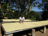 86+ Find: Bernardino Aliaga (Bolivia) Microlot Roast. NEW FARMER!