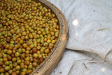 House Roast: Fazenda Cachoeira da Grama: Pulped Natural AAA (Brazil). NEW!