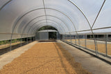House Roast: Fazenda Cachoeira da Grama: Pulped Natural AAA (Brazil). NEW!