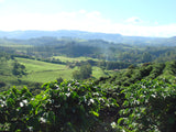 86+ Find: Fazenda Barreiro (Brazil) Microlot. NEW!