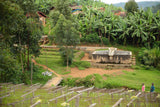 90+ Find: Kinyovu Washing Station (Burundi) Matango Microlot. COFFEE REVIEW: 92 POINTS!!