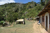 86+ Find: Porfirio Mamani (Bolivia) Microlot. NEW ARRIVAL!