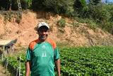 86+ Find: Porfirio Mamani (Bolivia) Microlot. NEW ARRIVAL!