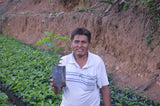 Purple Llama Dark Roast. NEW CROP!