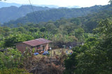86+ Find: Lucio Villca -San Ignacio (Bolivia) Microlot. NEW ARRIVAL!