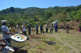 86+ Find: Lucio Villca -San Ignacio (Bolivia) Microlot. NEW ARRIVAL!