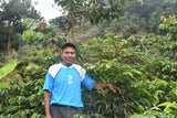 86+ Find: Porfirio Mamani (Bolivia) Microlot. NEW ARRIVAL!
