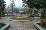 86+ Find: Bernardino Aliaga (Bolivia) Microlot Roast. NEW FARMER!