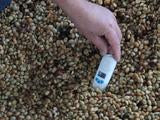 House Roast: Santa Barbara Estate AA+ Excelso (Colombia)