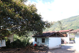 86+ Find: Marco Lasso (Colombia) Nariño Microlot Roast.