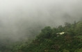 86+ Find: Juan Lopez Cortin (Costa Rica). NEW ARRIVAL!
